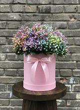 Цветочная композиция из Гипсофила и Розы в шляпной коробке #REPLACE_PRED# Удобной Краснодарский край