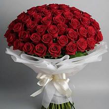 Букет 101 Красная роза Блэк Мэджик #REPLACE_PRED# Удобной Краснодарский край