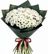 Букет цветов из:  Хризантемы в Удобной Краснодарский край