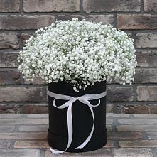 Цветочная композиция из Гипсофила в шляпной коробке #REPLACE_PRED# Удобной Краснодарский край