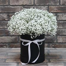Цветочная композиция из Гипсофила в шляпной коробке в Удобной Краснодарский край